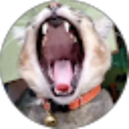 Review From Juven Upen