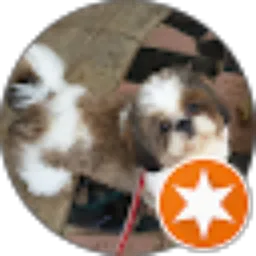 Review From Jani Ali