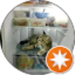 Review From Yudha Prasetya