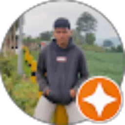 Review From Fransiskus Faisal Habibi