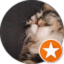 Review From エップイチャ