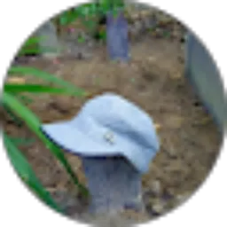 Review From arif tiyo