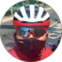 Review From Ari Bowo