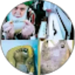 Review From ahmad rivai