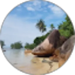 Review From Rina Narulita