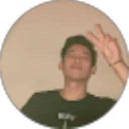 Review From Dino Faizal