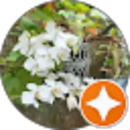 Review From sahabat nasrullah official