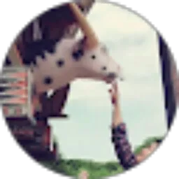 Review From Chris Bara Tiku