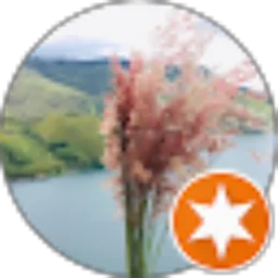 Review From Boru Malau