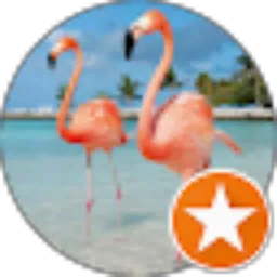 Review From aprilia ayudya