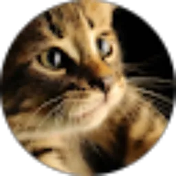 Review From Evylia Arjanti