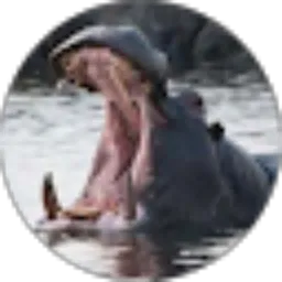 Review From Mengenal Indonesia