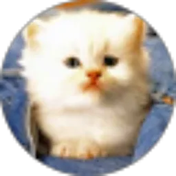 Review From nayla tams