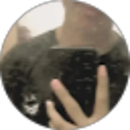 Review From Leo Olinger