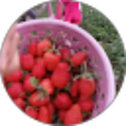 Review From Fauziah Sholihat