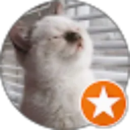 Review From FIRMAN WIDYAWAN