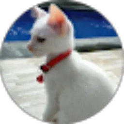 Review From Dina Natalia