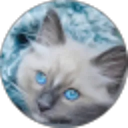 Review From Dewi Januarti