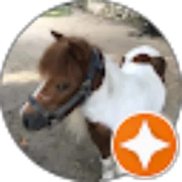 Review From Darling Patty