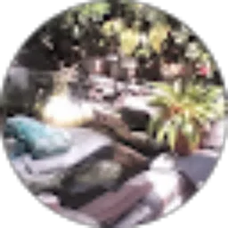 Review From Opan Sopandi S