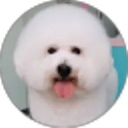 Review From Giovanni Anggasta