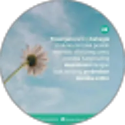 Review From Dermawan Syaputra