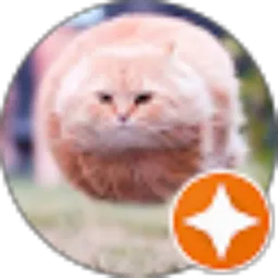 Review From Fikri Mukhlisina Latief