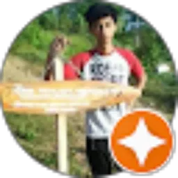 Review From Donatus Lilik