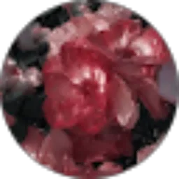 Review From Chandyva Dhesrivia