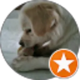 Review From ina chan