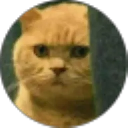 Review From Andrean Kinanjar