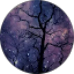 Review From So Hanagata