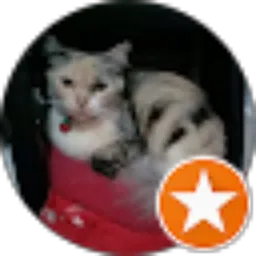 Review From Kartika Rizki