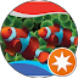 Review From Willy Satyadi