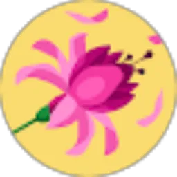 Review From AMELIA HARLIYA