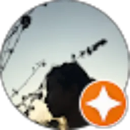 Review From donquixote mey