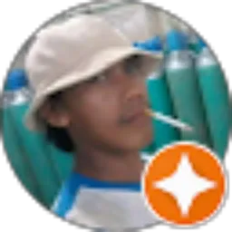 Review From Dedi Junaidi