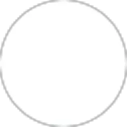 Review From anak ayam