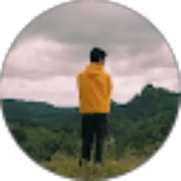 Review From AI Rian (Walkers 06127)