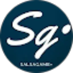 Review From Salsa Game