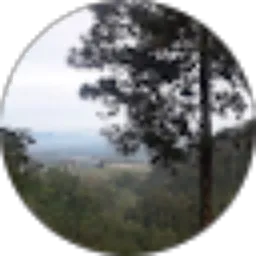 Review From AyoeniC 58