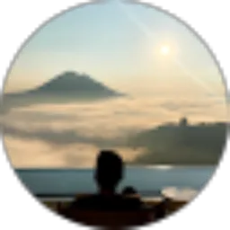 Review From Muhammad Fauzi