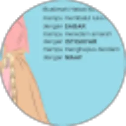 Review From noni novianti