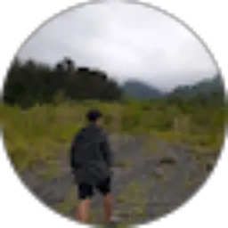 Review From Ayu Novita Rachmawati