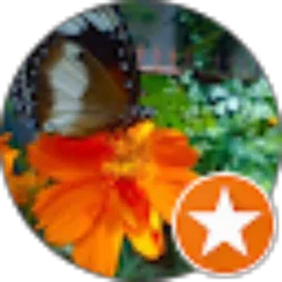 Review From Adytia Ilyas
