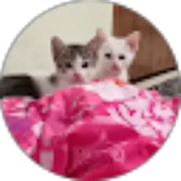 Review From Eva Nurfaidah