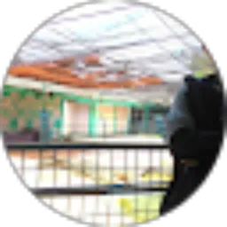 Review From Ambi Aulia