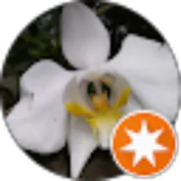 Review From Ari Wahyuni