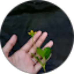 Review From Putri Ayuni Tanjung