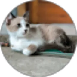 Review From Ndreian joe